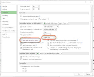 Program Options Effort Driven
