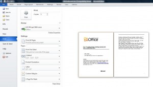 Microsoft Word 2010 Printing Options