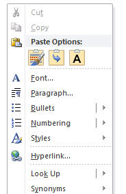 New Paste Menu Options in Microsoft Word 2010