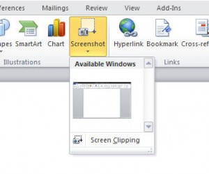 screen shot option microsoft word 2010