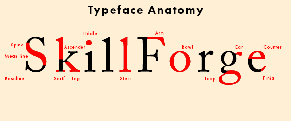 typeface-anatomy