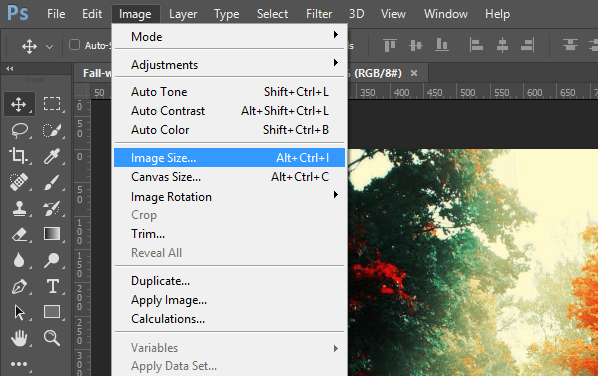 image-size-menu