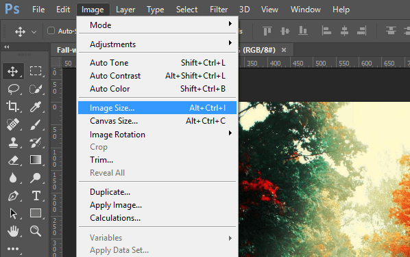 How to get the width / height of an element in Photoshop? - Super User