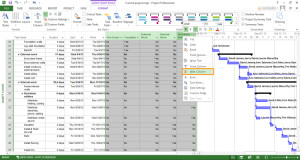 Microsoft Project: Formatting A Gantt Chart For Summary Task - Skillforge