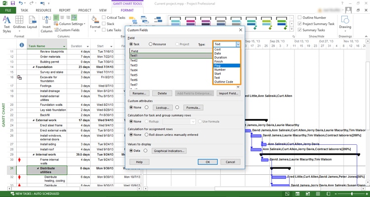 Format Gantt Chart Project 2010