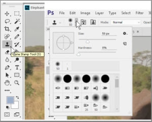 Clone Stamp Tool Settings