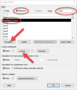 Custom fields dialog