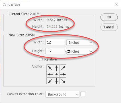 Working with Image Size and Canvas Size in Photoshop SkillForge